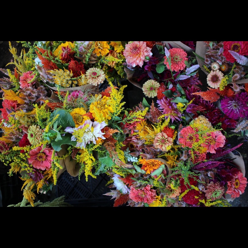 Meet your Posher, Marina